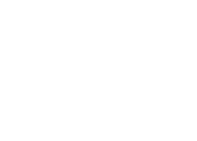 Tautem Architecture